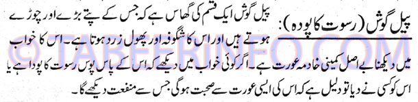 Pail-Gosht