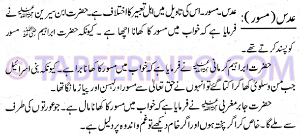 adas-masoor