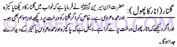 gulnaar