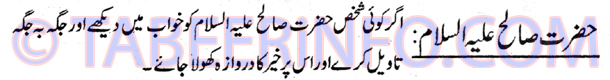 hazrat-saleh
