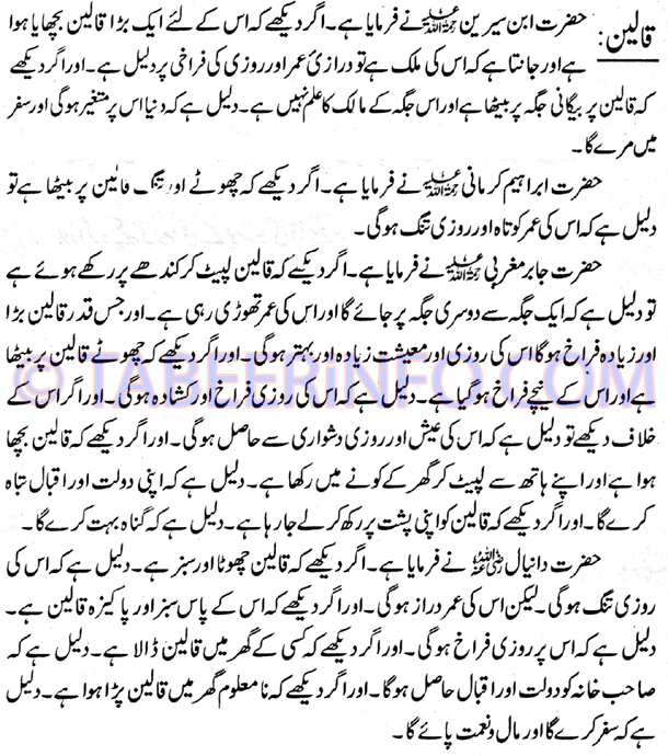 qaleen