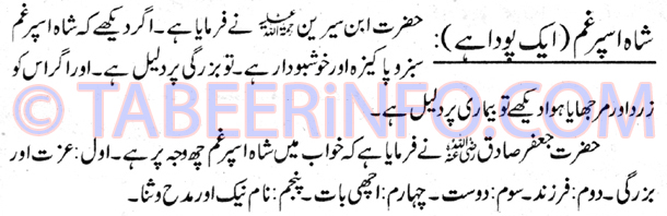 shah-aspar-gham