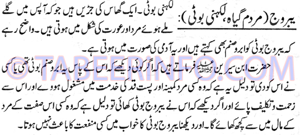 yabrooj-mardam-giah-lakhni-boti