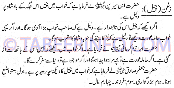 zaghan