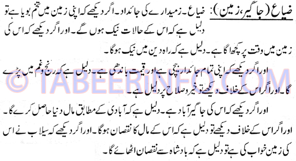 zia-jageer-zameen