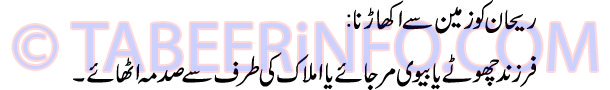 rehan-ko-zameen-se-ukharna-