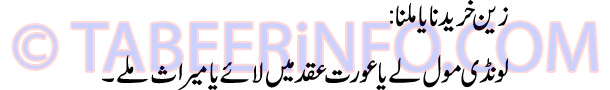 zain-kharidna-ya-milna-tabe