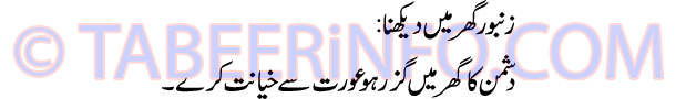 zanboor-ghar-me-dekhna-tabe
