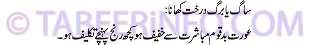 saag-ya-barg-drakht-dekhna-