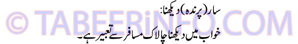 saar-prinda-dekhna-tabeer