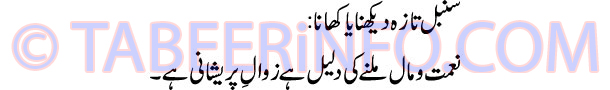 sanbal-taza-dekhna-tabeer