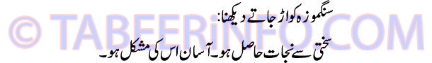 sangmozah-ko-ud-jate-dekhna