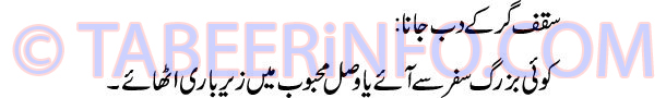 saqaf-gir-ke-dab-jana-tabee