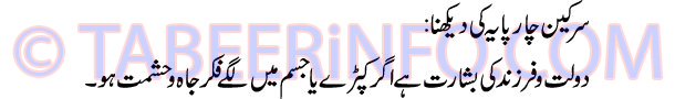 sarkeen-char-paya-ki-dekhna