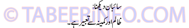sayban-dekhna-tabeer