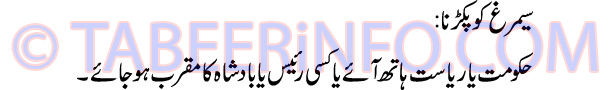 semrag-ko-pakadna-tabeer