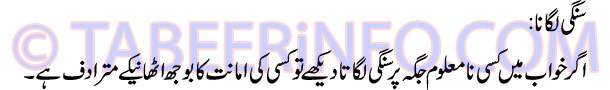 sengi-lgana-tabeer