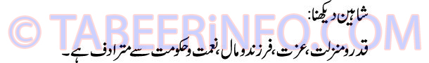 shaheen-dekhna-tabeer
