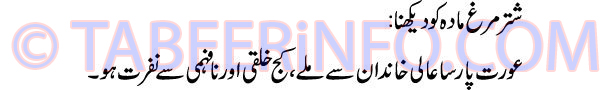 shatar-murg-mada-dekhna-tab