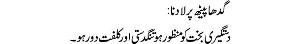 gadha-peeth-par-ladna-tabee