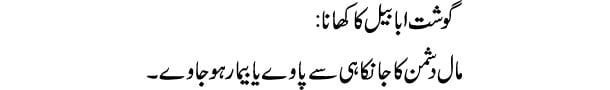 gosht-ababeel-ka-khana-tabe