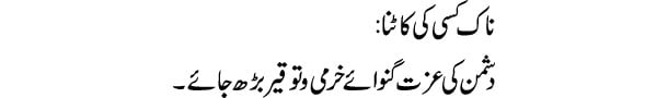 naak-kisi-ki-katna-tabeer