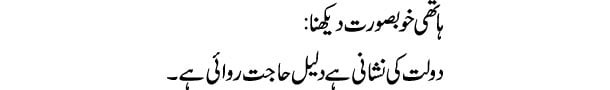 hathi-khoobsurat-dekhna-tab