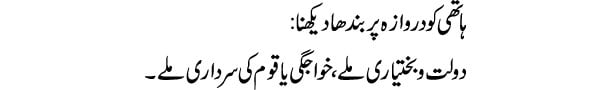 hathi-ko-darwaza-par-bandha