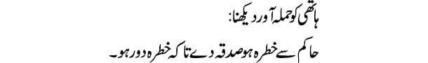 hathi-ko-hamla-awar-dekhna-